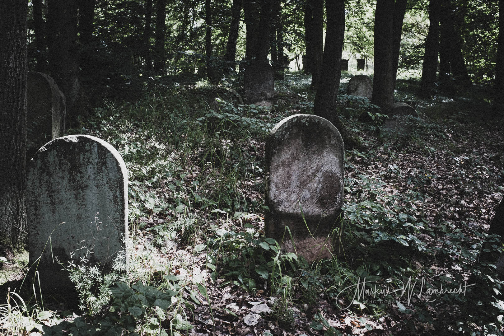 Wanfried, Jüdischer Friedhof